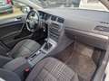 Volkswagen Golf VII Variant Lounge BMT Standhzg. Bi-Xenon Weiß - thumbnail 11