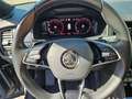 Skoda Kodiaq Sportline TDI DSG 4x4 "TOP Ausstattung" Standheizung Grau - thumbnail 13