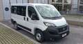 Fiat Ducato 30 2.2 Mjt 140cv PC-TN Panorama 9 Posti Bianco - thumbnail 1