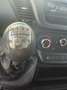 Iveco Daily 35c14 passo 3750 QUAD-TOR,FURGONATO CON PANNELLI Weiß - thumbnail 13