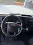 Iveco Daily 35c14 passo 3750 QUAD-TOR,FURGONATO CON PANNELLI Weiß - thumbnail 8
