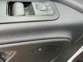 Mercedes-Benz Sprinter L2 RWD 317/Kamera ohne Schäden Blanco - thumbnail 11