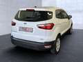 Ford EcoSport Trend Bluetooth Klima el. Fenster Blanco - thumbnail 4