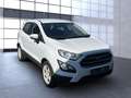 Ford EcoSport Trend Bluetooth Klima el. Fenster Blanco - thumbnail 5