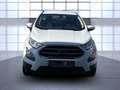 Ford EcoSport Trend Bluetooth Klima el. Fenster Blanco - thumbnail 7