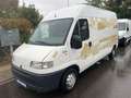 Fiat Ducato 230 L 2,8 TDI NUR 109 TKM ! LÄNGE: 5505mm Weiß - thumbnail 1