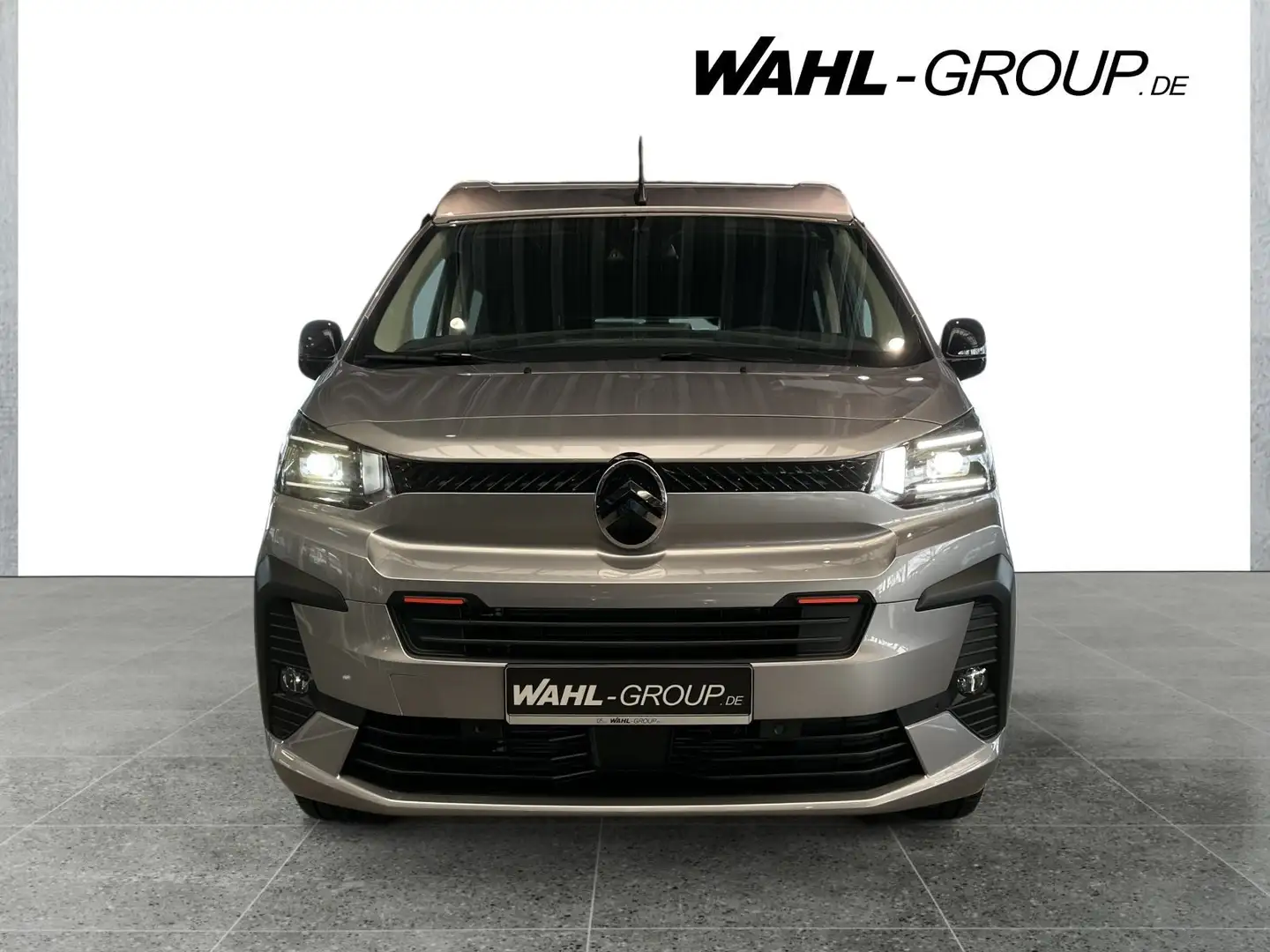 Citroen Holidays BlueHDi 180 M Gris - 2