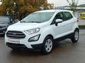 Ford EcoSport Trend SHZ Lenkradheizung Weiß - thumbnail 2