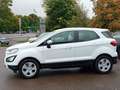 Ford EcoSport Trend SHZ Lenkradheizung Weiß - thumbnail 3