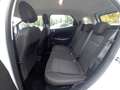 Ford EcoSport Trend SHZ Lenkradheizung Weiß - thumbnail 10
