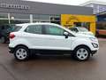 Ford EcoSport Trend SHZ Lenkradheizung Weiß - thumbnail 5