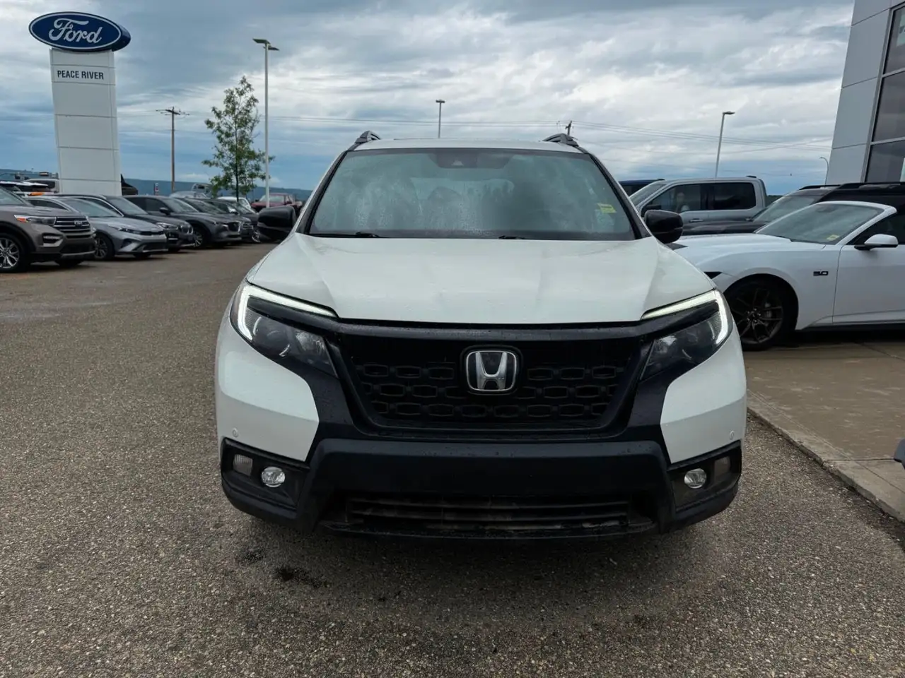 Honda Passport снимка Honda Passport