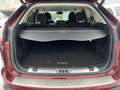 Ford Edge Titanium 4x4 Braun - thumbnail 7