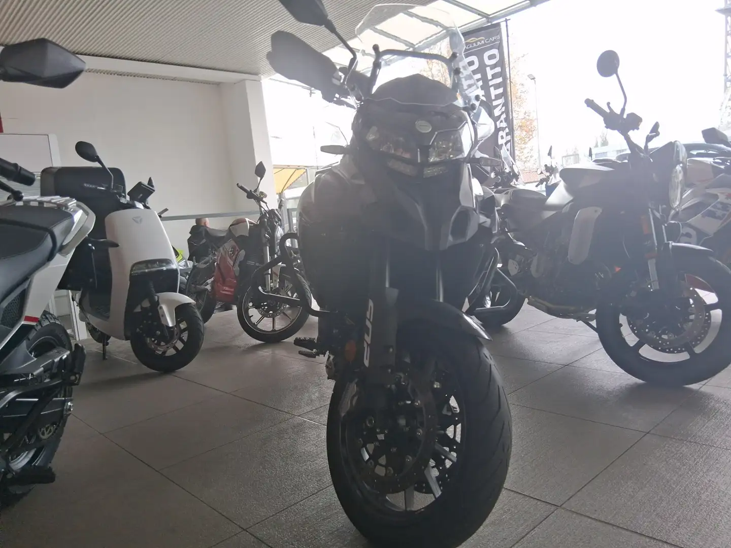 Benelli TRK 502 Grau - 2