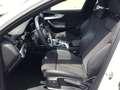 Audi A4 40 TFSI S-Tronic S-Line 2x, LED, ACC, S Blanco - thumbnail 7