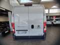Fiat Ducato 33 2.3 MJT 130CV PASSO MEDIO TETTO ALTO Bianco - thumbnail 3