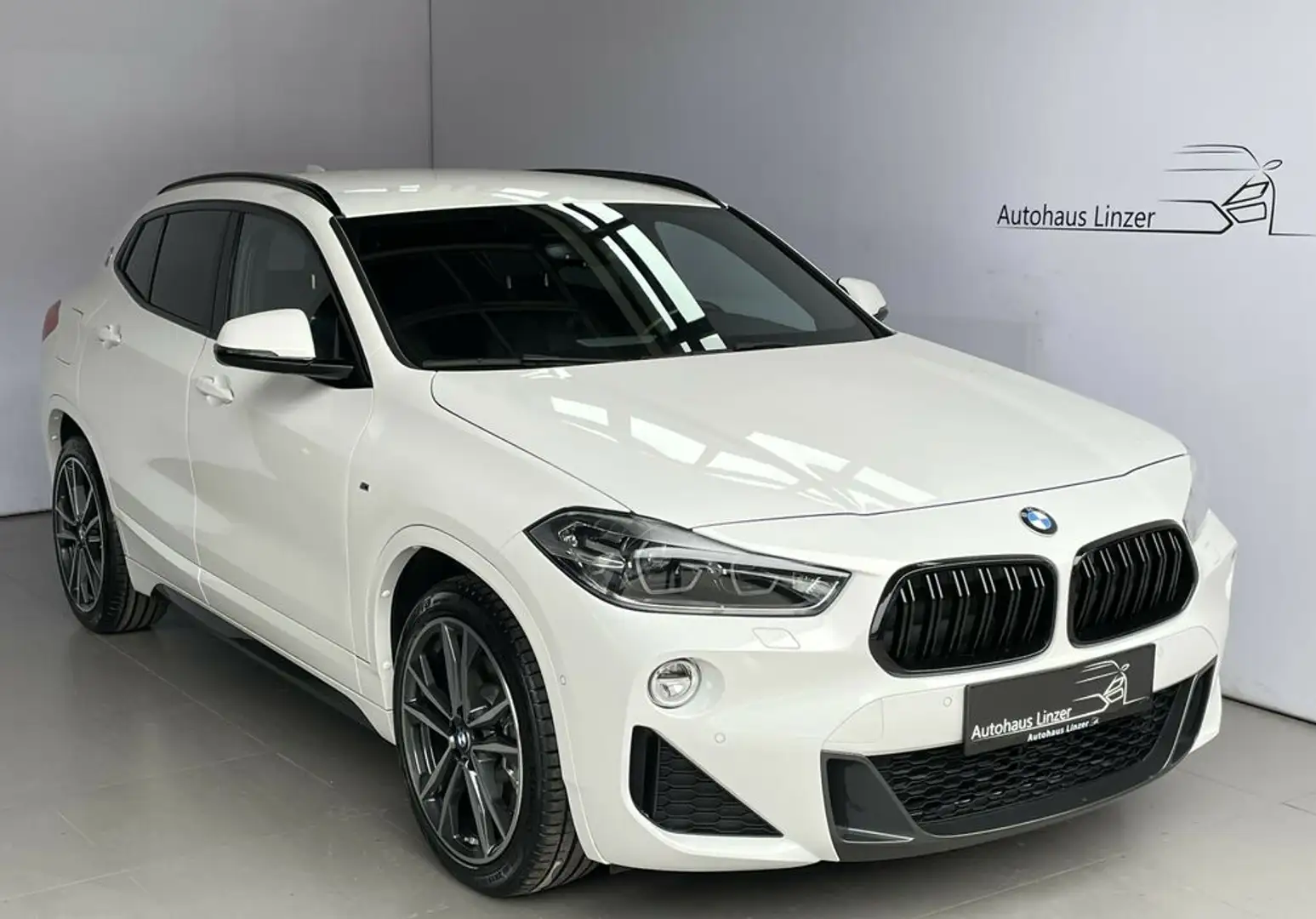 BMW X2 xDrive20d M *LED*ACC*HuD*CAM*LEDER*HiFi*19Zoll* Weiß - 1