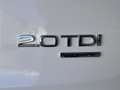 Audi Q5 2.0 TDI 170ps quattro Automatik Panorama Leder Weiß - thumbnail 9