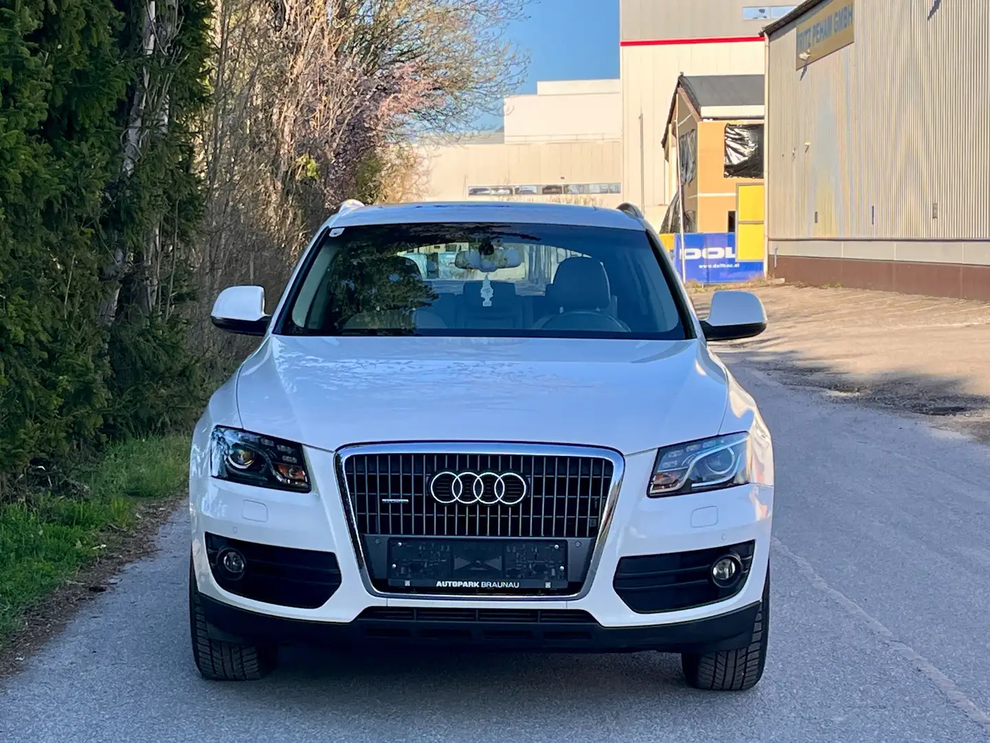 Audi Q5 2.0 TDI 170ps quattro Automatik Panorama Leder Weiß - 2