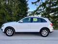 Audi Q5 2.0 TDI 170ps quattro Automatik Panorama Leder Weiß - thumbnail 5