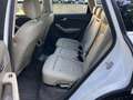 Audi Q5 2.0 TDI 170ps quattro Automatik Panorama Leder Weiß - thumbnail 32