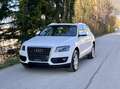 Audi Q5 2.0 TDI 170ps quattro Automatik Panorama Leder Weiß - thumbnail 3