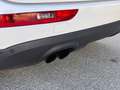 Audi Q5 2.0 TDI 170ps quattro Automatik Panorama Leder Weiß - thumbnail 8