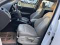 Audi Q5 2.0 TDI 170ps quattro Automatik Panorama Leder Weiß - thumbnail 10