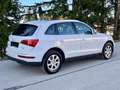 Audi Q5 2.0 TDI 170ps quattro Automatik Panorama Leder Weiß - thumbnail 15