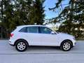 Audi Q5 2.0 TDI 170ps quattro Automatik Panorama Leder Weiß - thumbnail 16
