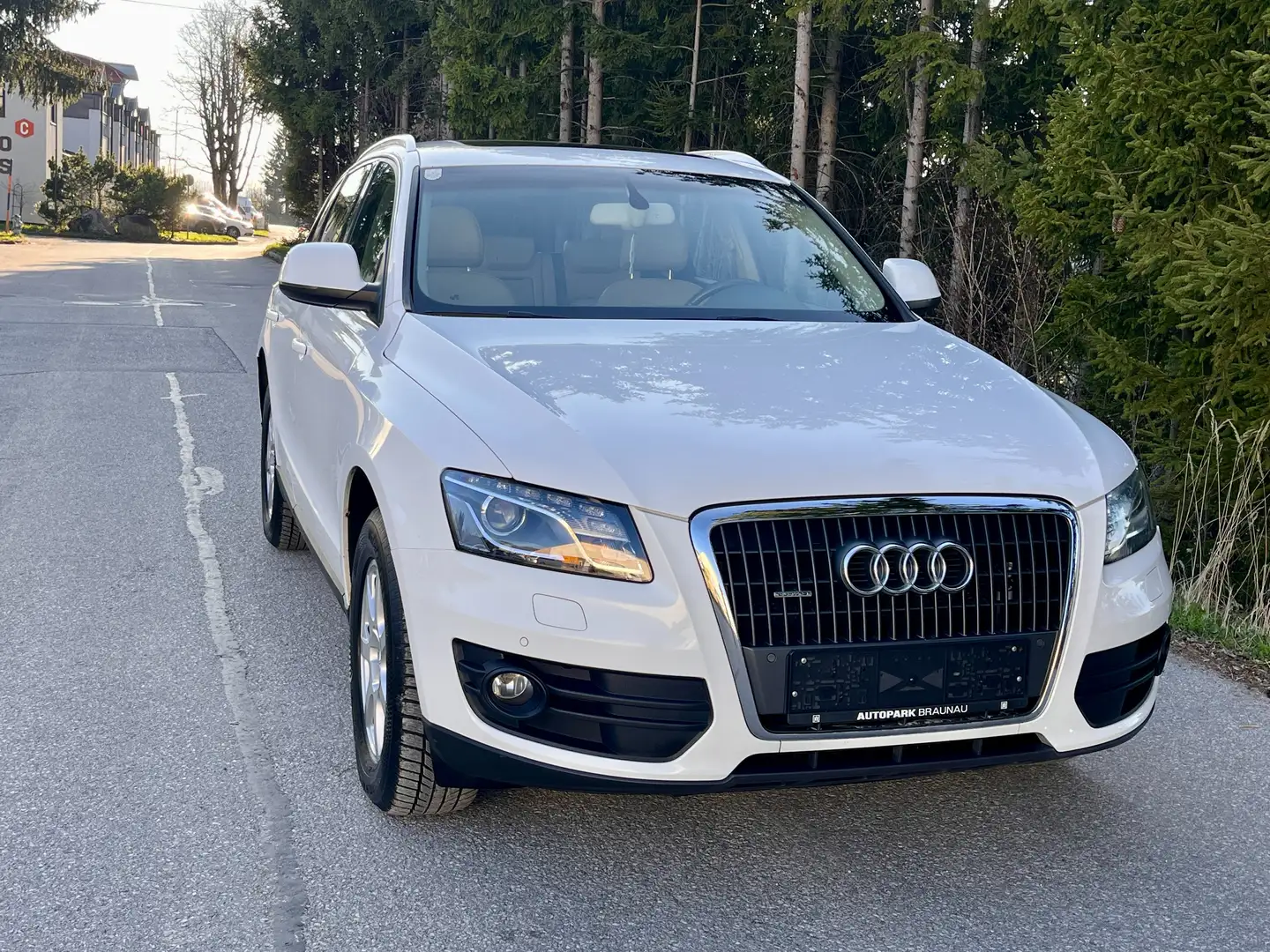 Audi Q5 2.0 TDI 170ps quattro Automatik Panorama Leder Weiß - 1