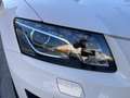 Audi Q5 2.0 TDI 170ps quattro Automatik Panorama Leder Weiß - thumbnail 19