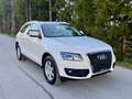 Audi Q5 2.0 TDI 170ps quattro Automatik Panorama Leder Weiß - thumbnail 17