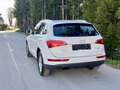 Audi Q5 2.0 TDI 170ps quattro Automatik Panorama Leder Weiß - thumbnail 6