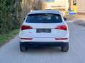 Audi Q5 2.0 TDI 170ps quattro Automatik Panorama Leder Weiß - thumbnail 13