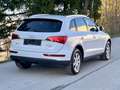 Audi Q5 2.0 TDI 170ps quattro Automatik Panorama Leder Weiß - thumbnail 14