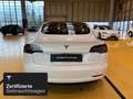 Tesla Model 3 Long Range AWD Weiß - thumbnail 5