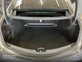 Mercedes-Benz CLE 53 AMG CLE 53 4M NIGHT+DRIVERS+PANO+360+BURMESTER+CARBON Gris - thumbnail 16