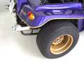 Volkswagen Buggy Volkswagen Maplex Buggy Paars - thumbnail 10