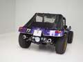 Volkswagen Buggy Volkswagen Maplex Buggy Paars - thumbnail 25
