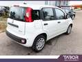 Fiat Panda MHEV 70 5"-DAB PDC DigCo 5-S LaneA Blanc - thumbnail 3