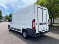 Fiat Ducato*Thermo-King V-300*Klima*Kühlkasten* Weiß - thumbnail 3