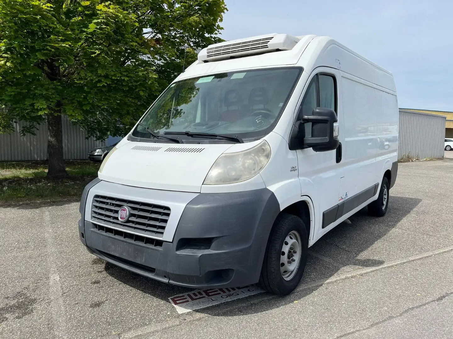 Fiat Ducato*Thermo-King V-300*Klima*Kühlkasten* Weiß - 1
