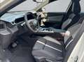Opel Grandland 1.2 Turbo Hybrid Business Edition Trekhaak/Stoel+s Grau - thumbnail 5