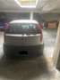 Fiat Punto 5p 1.2 Dynamic - thumbnail 2