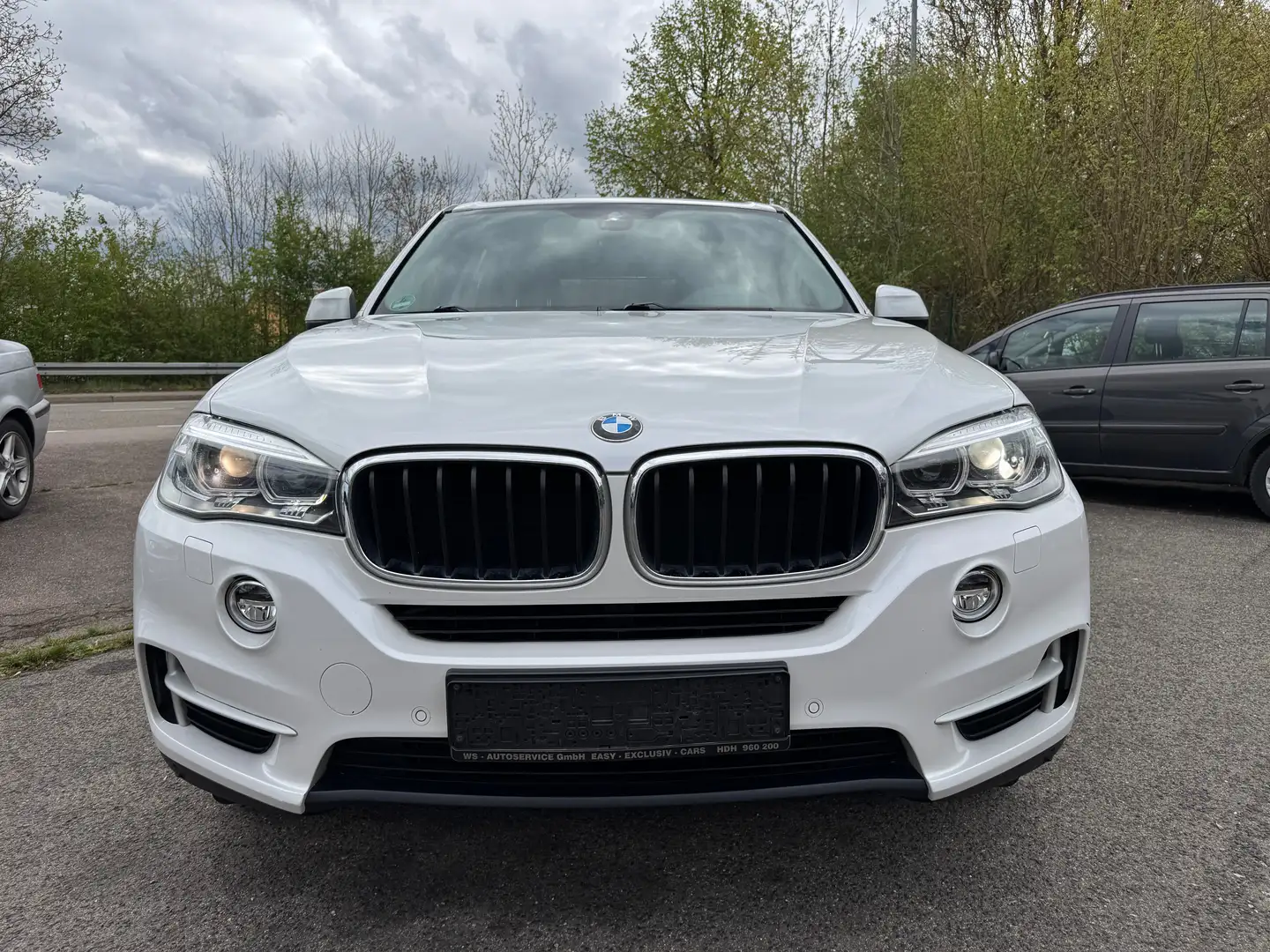 BMW X5 30 D xDrive * AHK * Weiß - 1