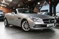 Mercedes-Benz SLK 250 III 250 BLUEEFFICIENCY 7G-TRONIC Gris - thumbnail 1