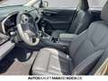 Subaru OUTBACK 2.5 Platinum AT 4x4 LED LEDER CAM SH SD Grün - thumbnail 7