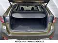 Subaru OUTBACK 2.5 Platinum AT 4x4 LED LEDER CAM SH SD Grün - thumbnail 15
