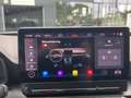 CUPRA Formentor VZ 2.0 TSI DSG Climatronic Navi LED SH Grau - thumbnail 19